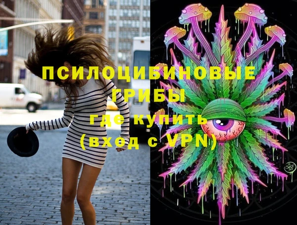 прущий лед Михайлов