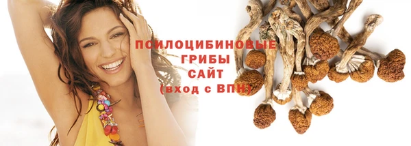 прущий лед Михайлов