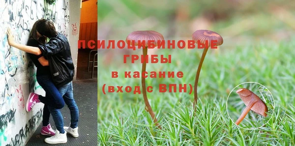 apvp Мегион
