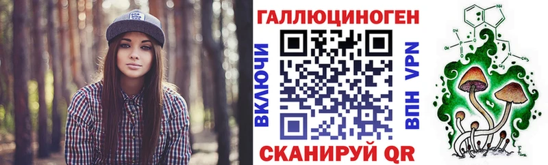 закладка  Нарткала  Псилоцибиновые грибы Psilocybe 