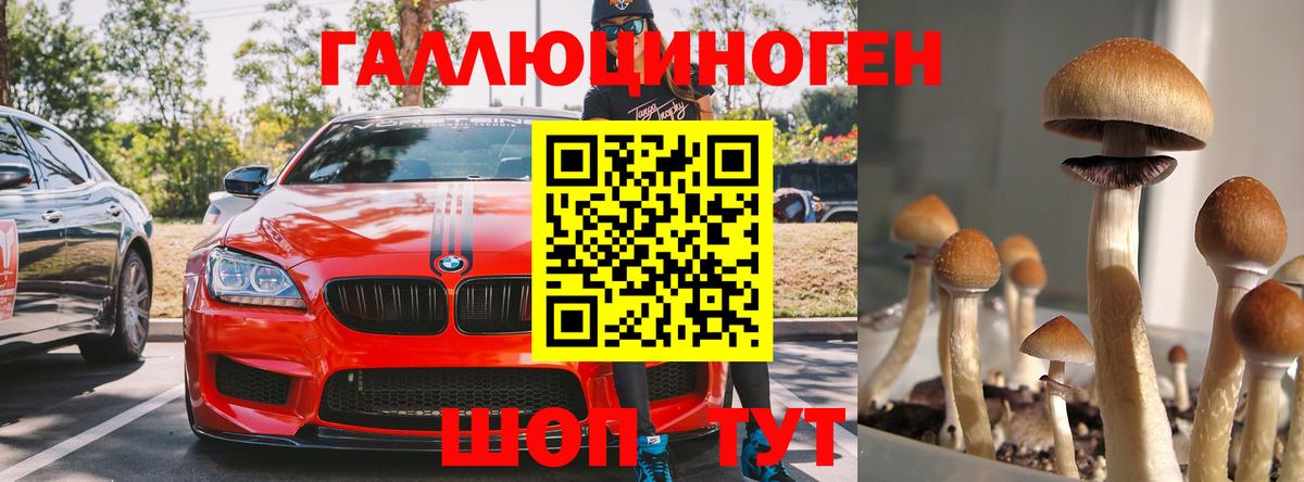 Галлюциногенные грибы Psilocybe  Псилоцибиновые грибы мицелий  Нарткала  Вход с VPN 